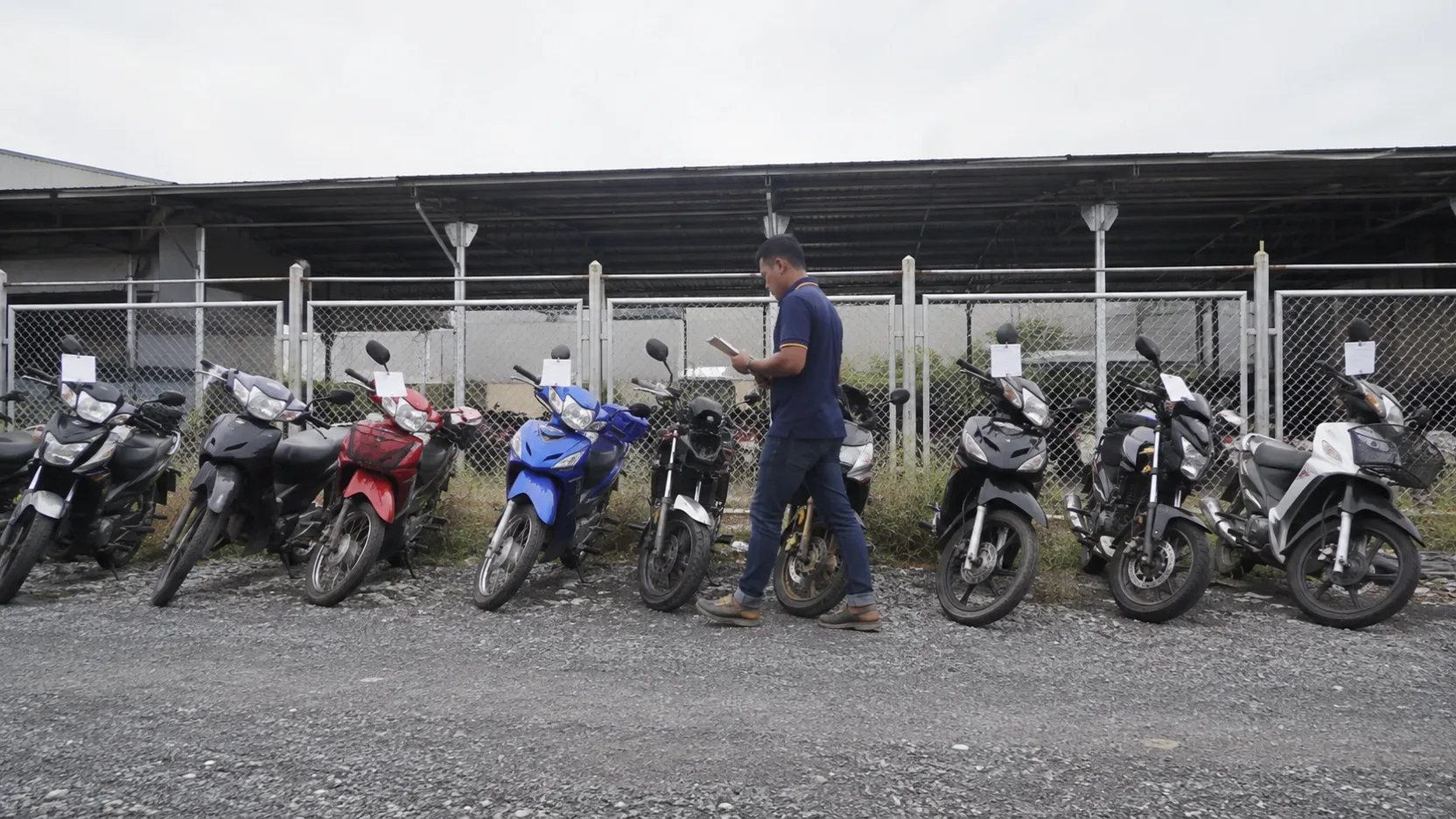 A row of repossessed motorcycles with auction-lot number tags at a vehicle auction yard, overcast light, no people posed.